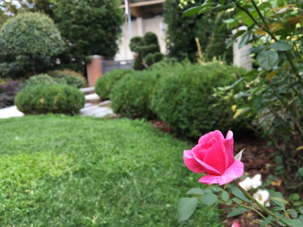 Rosa Del Grappa B&B 외부 사진